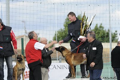 Remise des Prix 212.JPG - CHIENPLUS.COM